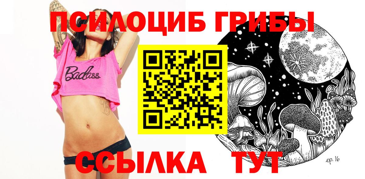 Знаменск  Псилоцибиновые грибы Magic Shrooms  Вход с VPN 