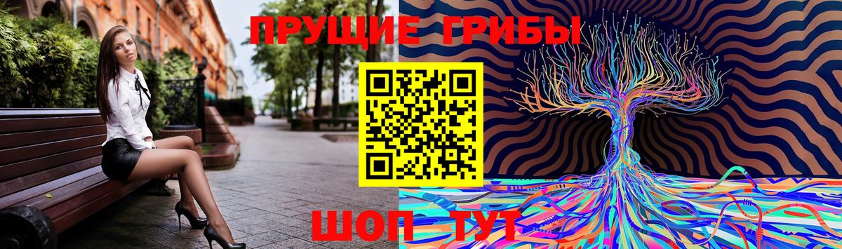 Псилоцибиновые грибы мицелий Знаменск